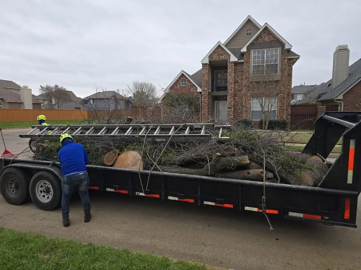 Expert Tree Pest Control with proper safety equipment in Lumberville